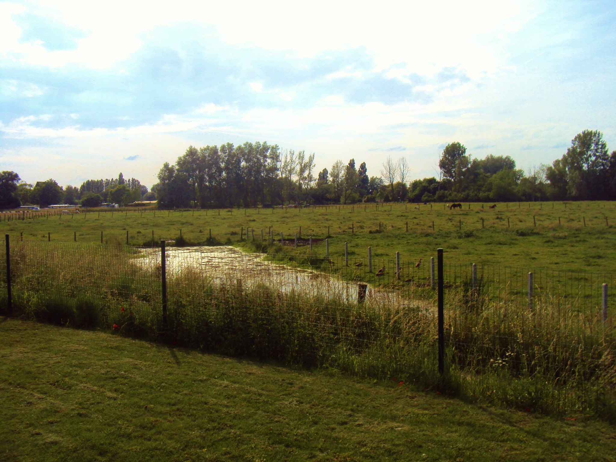 Omgeving